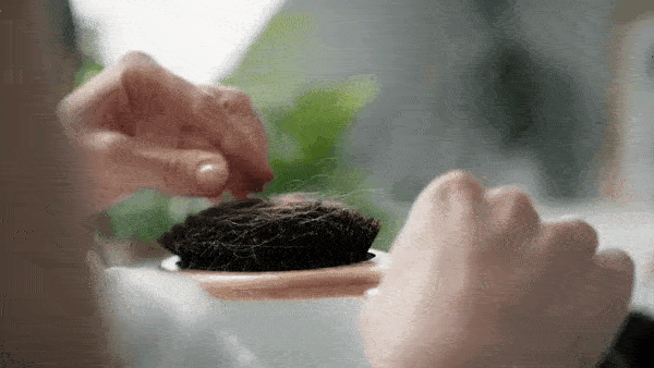 gif (1) (1)
