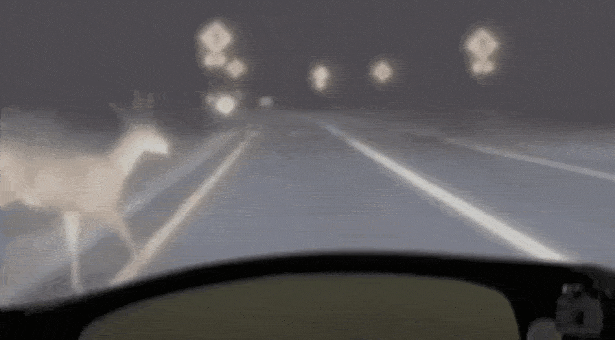 gif3 (6)